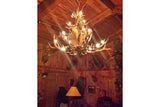 Antler Chandelier - 20 Light Small Paul Bunyan