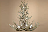 Antler Chandelier - 12 Light L Mule (37"W x 40"H)
