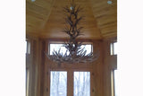 Antler Chandelier - 12 Light L Mule at the Chalet