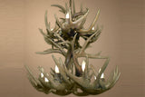 Antler Chandelier - 12 Light White Tail DeerAntler Chandelier - 12 Light White Tail Deer