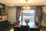 Antler Chandelier - 12 Light White Tail Deer in the Dining Room