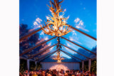 Antler Chandelier - 12 Light XL Mule at a Venue