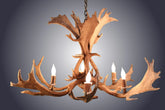 Antler Chandelier - 6 Light Fallow