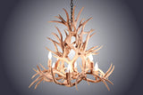 Antler Chandelier - 8 Light Magnolia Mule Deer