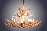 Antler Chandelier 8 Light Oval Mule Deer