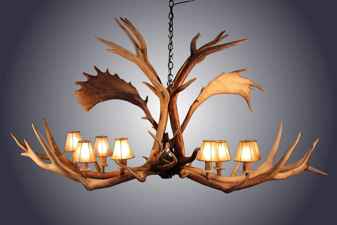 Antler Chandelier - 8 light Elk/Fallow Deer