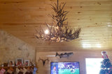 Antler Chandelier - 8 Light XL Whitetail Hanging