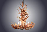 Antler Chandelier - 8 Light XL Whitetail