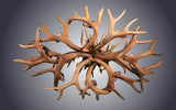 Antler Chandelier - 8 Light Oval Mule Deer bottom view
