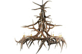 Faux Elk 15 Antler Chandelier