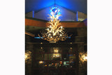Mule Deer Antler Chandelier Bar Image