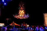 Mule Deer Antler Chandelier Night Image
