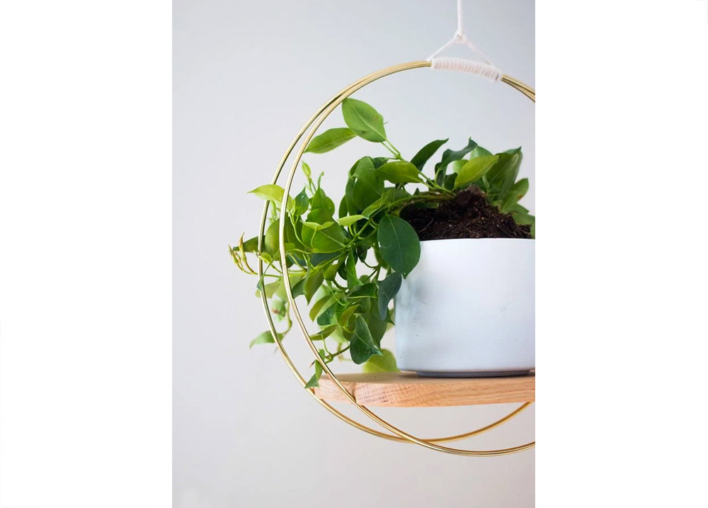 White Oak Hanging Wood Planter