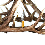 closeup of antler