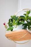 Hoops on a planter, underside of white oak wall hanging planter