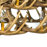 Whitetail Deer 24 Antler Chandelier closeup