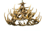 Whitetail Deer 24 Antler Chandelier under