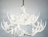 Whitetail Deer 24 Antler Chandelier white