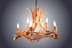 Antler Chandelier - 6 Light Fallow Ring
