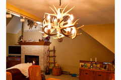 Antler Chandelier - 10 Light White Tail Deer at the Cottage