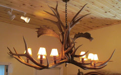 Antler Chandelier - 8 light Elk/Fallow Deer hanging