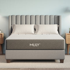 Mlily Hybrid Series - 10.5" Fusion Orthopedic (Firm)