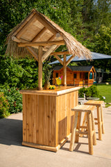Tiki bar with roof