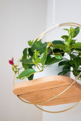 Hoops on a planter, underside of white oak wall hanging planter